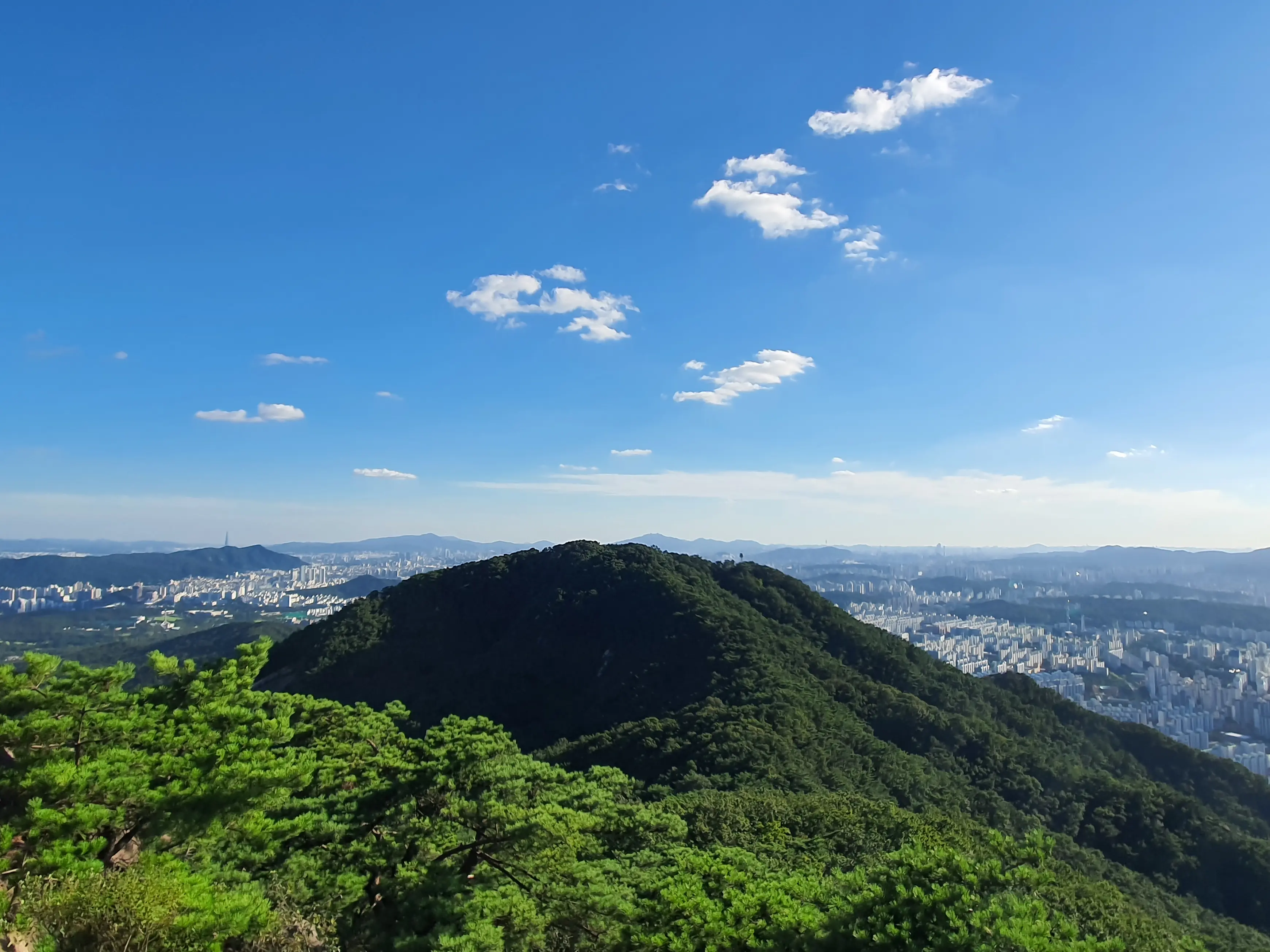 남쪽